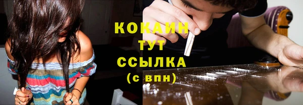 гидра Белоозёрский