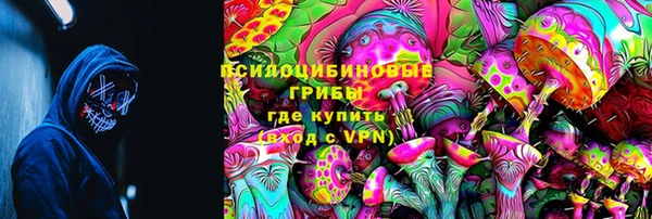 гидра Белоозёрский