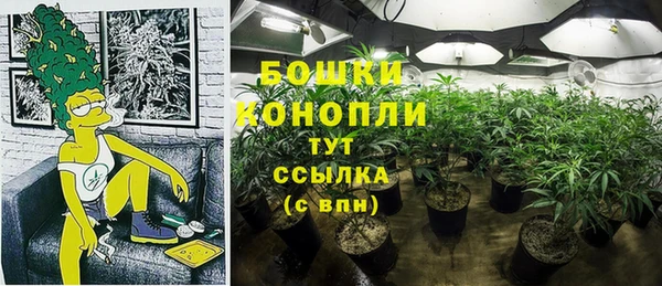 мдма Белокуриха
