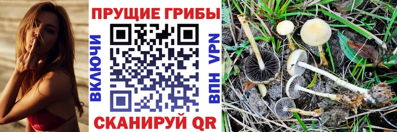 Галлюциногенные грибы мухоморы  Нижний Новгород 